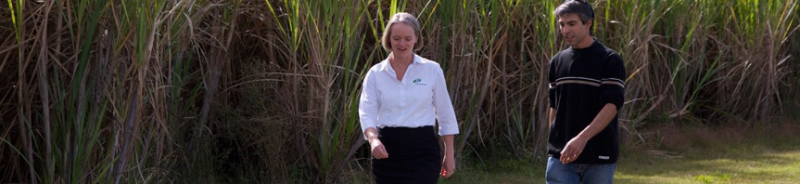 Townsend NSW Accountants Perth