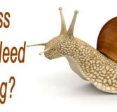 Avance - Accountants Perth