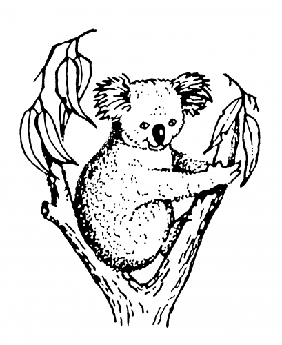 Koala Accounting & Taxation - Accountants Perth 2
