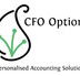 CFO Options - Accountants Perth