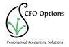 CFO Options - Accountants Perth 0