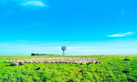 Connole Carlisle Chartered Accountants - Accountants Perth 11