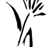 Bloomfield  Associates - Accountants Perth