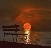 Bondi BAS Agent - Accountants Perth