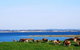 Julie Meek - Rural Bookkeeping Service - thumb 1