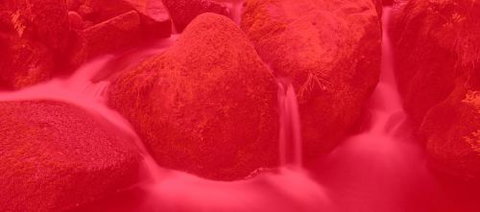 RedFrog Bookkeeping - Accountants Perth 0