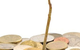 Lynda Soderlund LSA Accountants - thumb 3