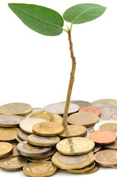 Lynda Soderlund LSA Accountants - Accountants Perth 8
