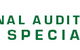 Professional Audit Solutions - thumb 0
