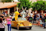Accountant Listing Partner Gold Coast Attractions